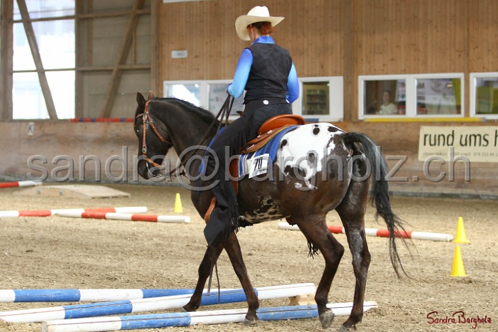 26-ApHC GT_126.jpg